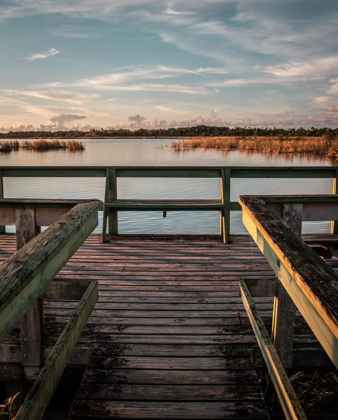 Laguna-tortuguero-5.jpg