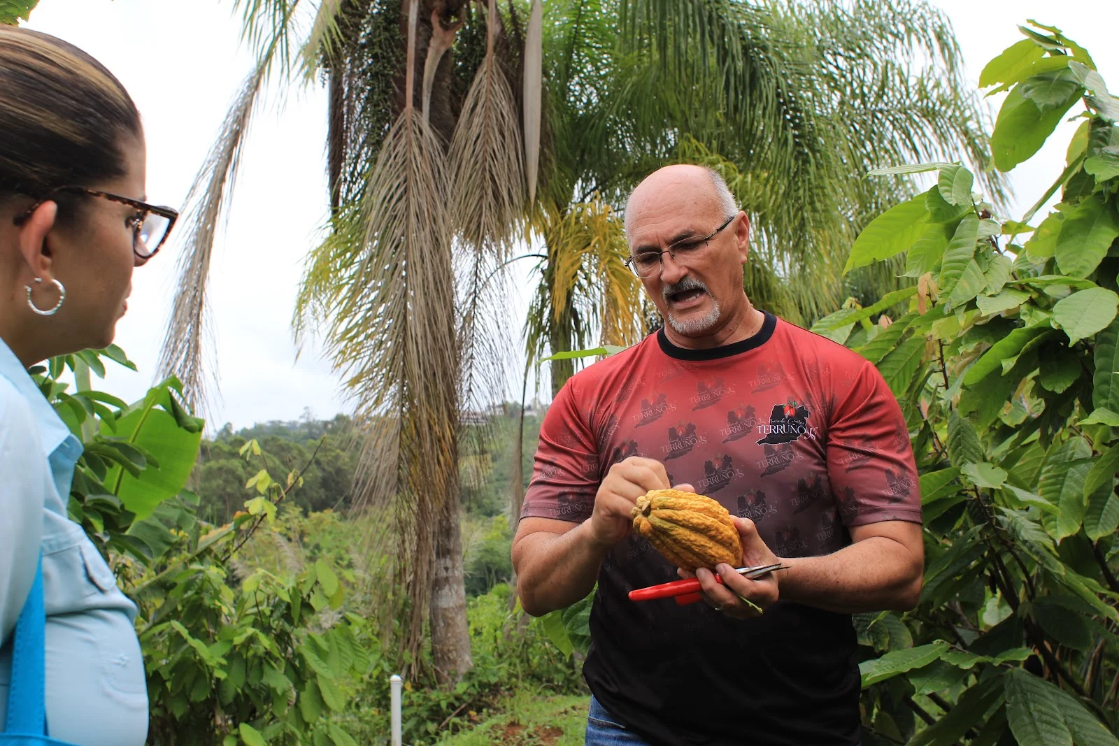 Hacienda Cacaotera Terruño JS en Naranjito