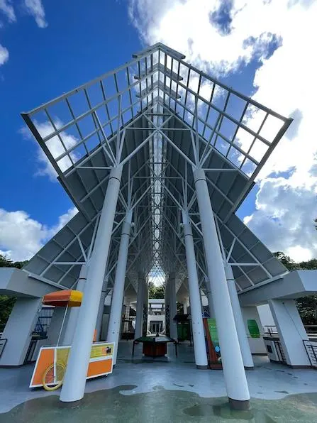 Yunque_2-1.jpeg