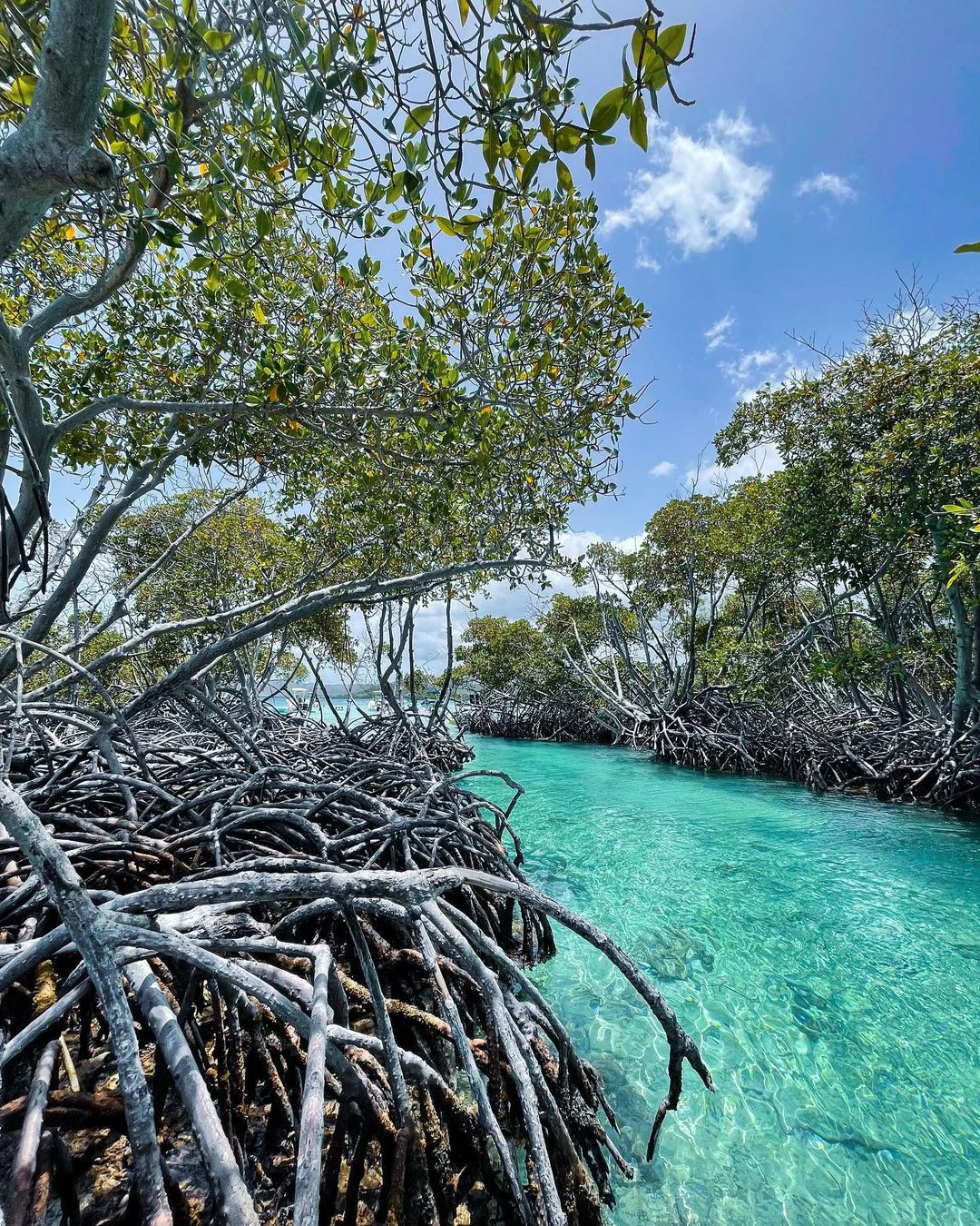 Cayo-Caracoles.jpg