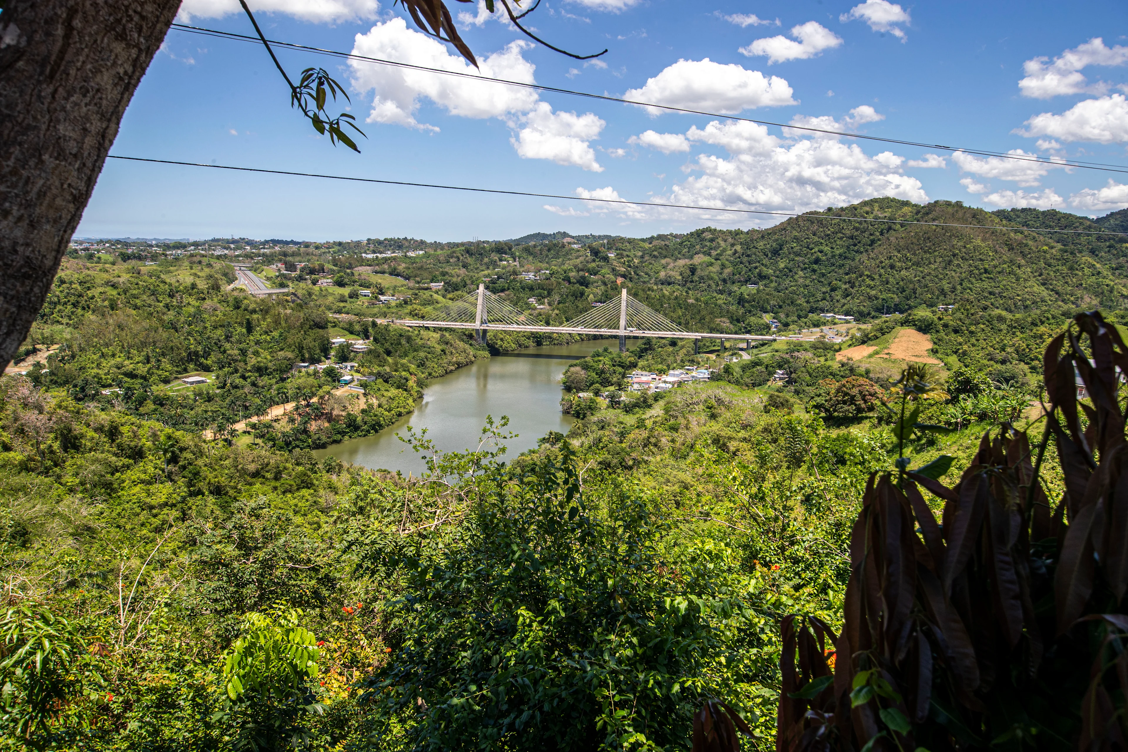 Naranjito Discover PR