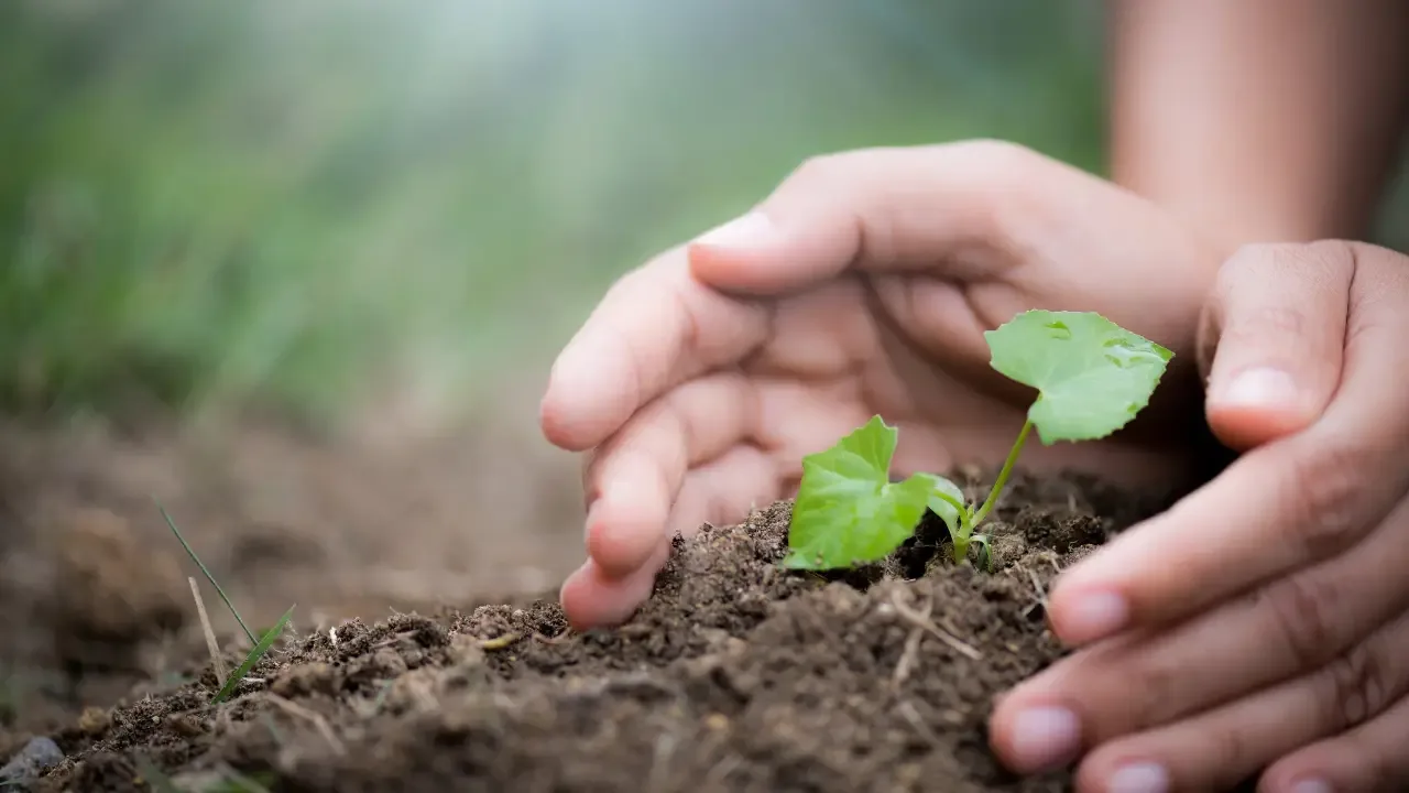 feria-para-la-naturaleza-y-otros-eventos-para-celebrar-el-dia-de-la-tierra-2026