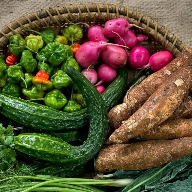 Publicación de Enlace Tres Vidas: vegetales y flores de la finca