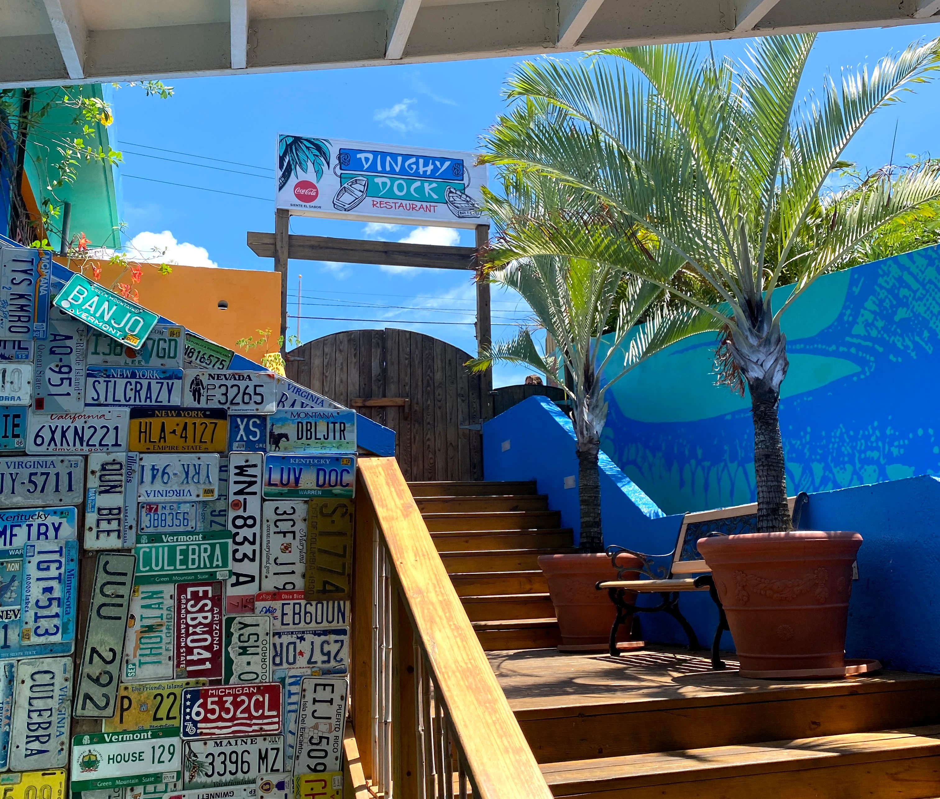 culebra-2.jpg