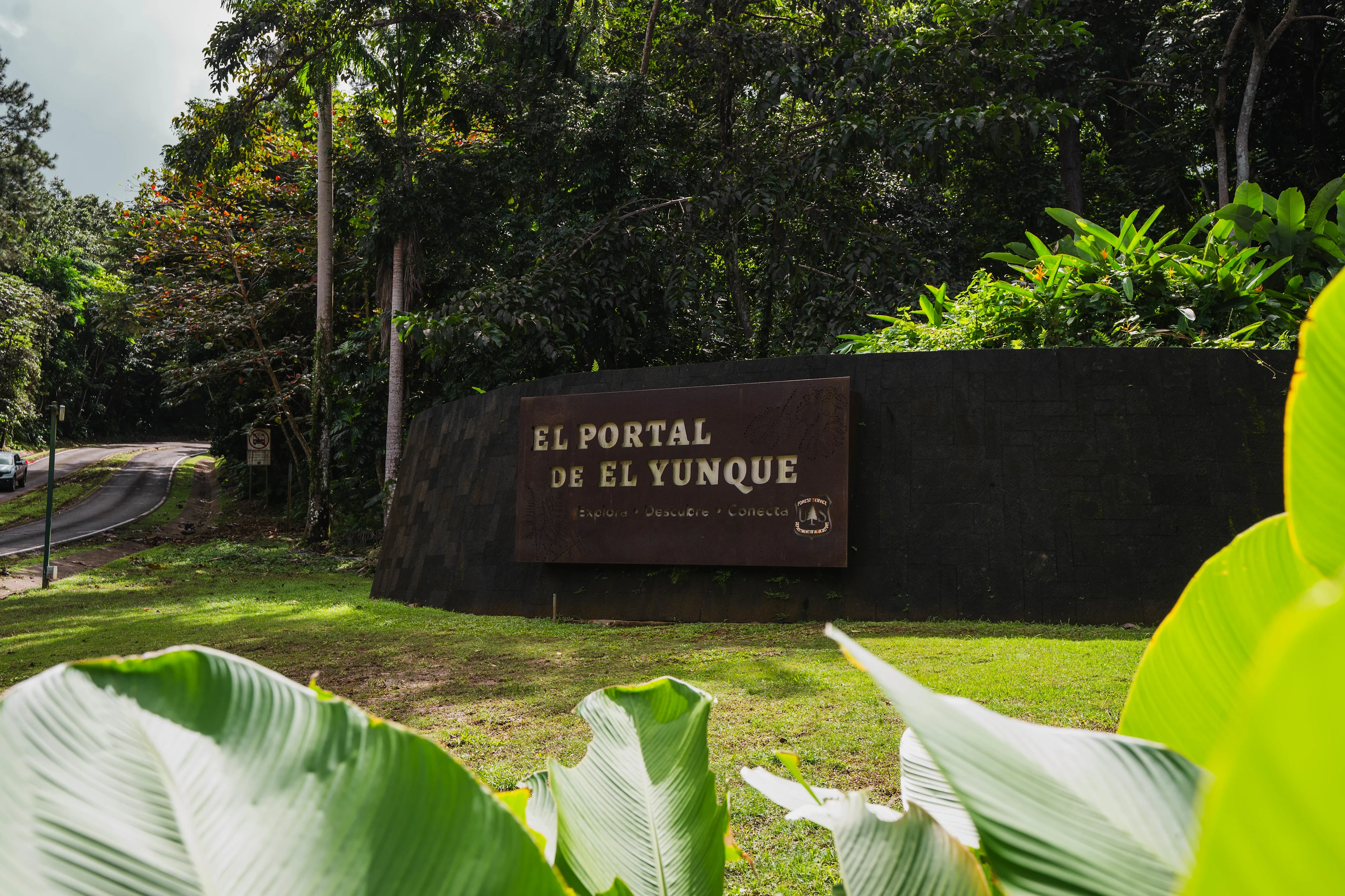 Letrero de entrada de El Portal de El Yunque rodeado de vegetación.
