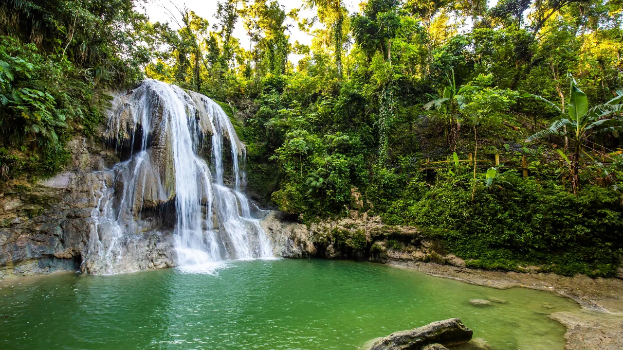 charcos-y-cascadas-de-facil-acceso-en-puerto-rico
