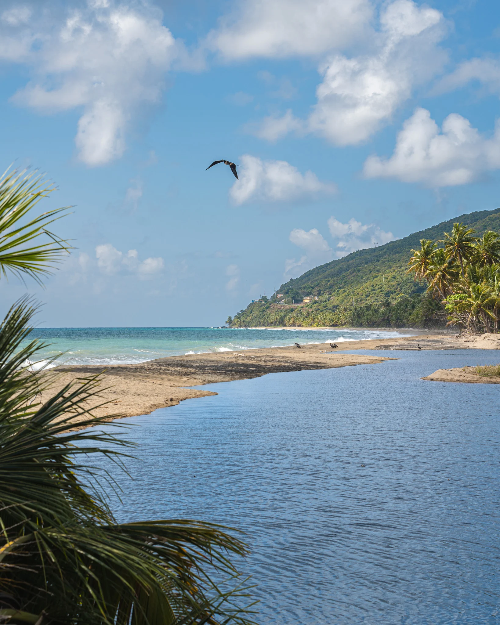 Road trip por Maunabo: un local recomienda las paradas ideales para un día familiar