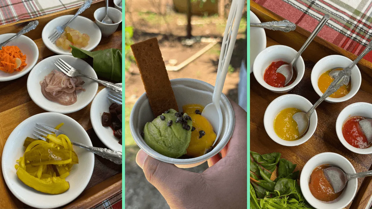 como-preservar-frutas-alimentos