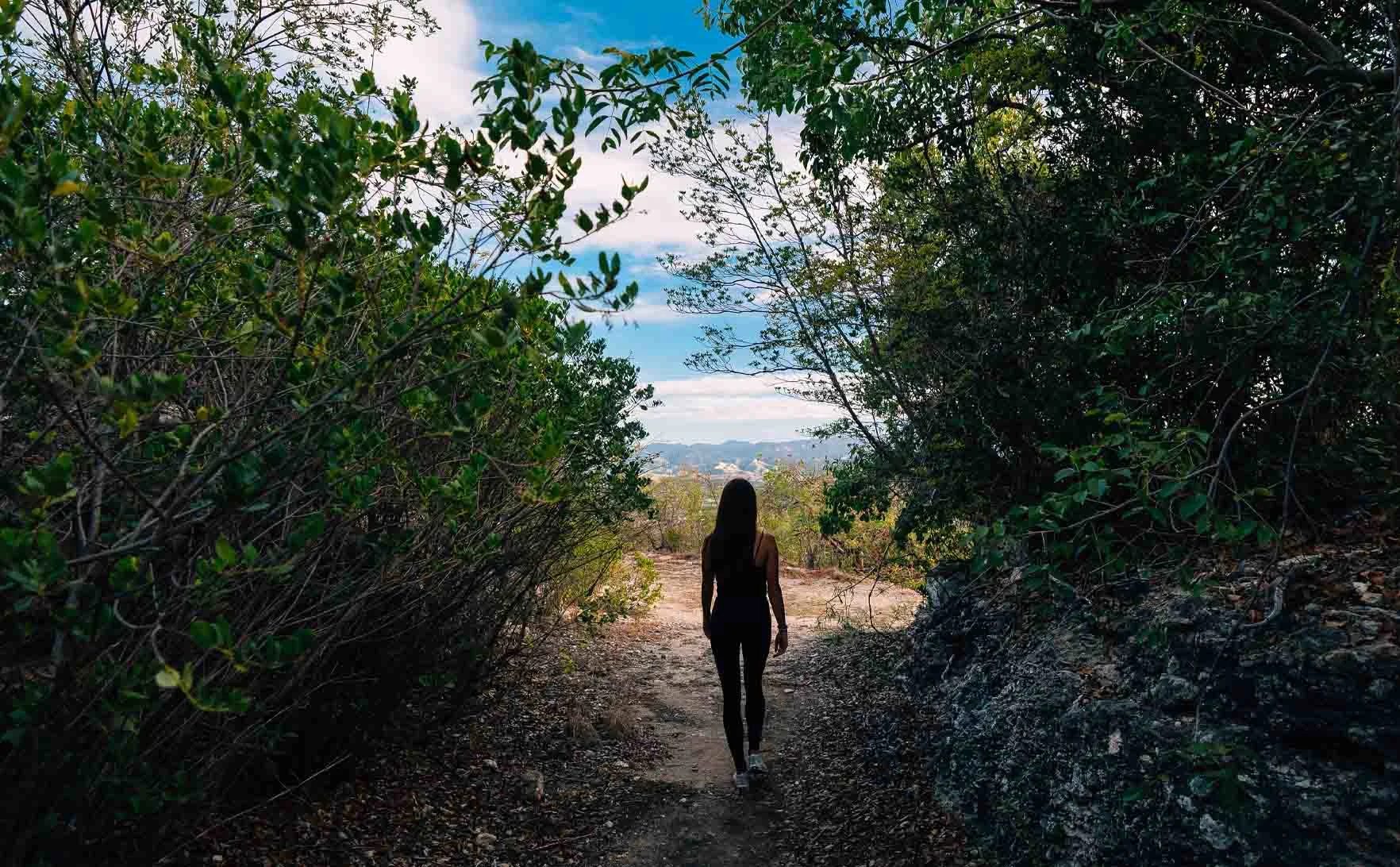 Bosque_Seco_Guanica_d6806f0bf3.jpg