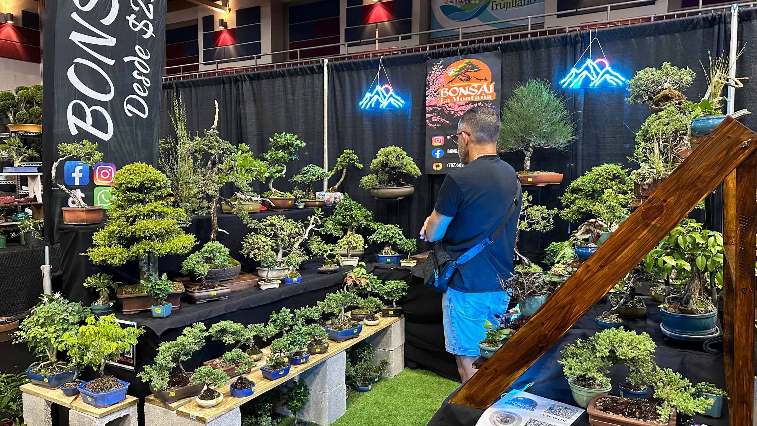 sabias-que-en-puerto-rico-se-celebra-el-festival-del-bonsai