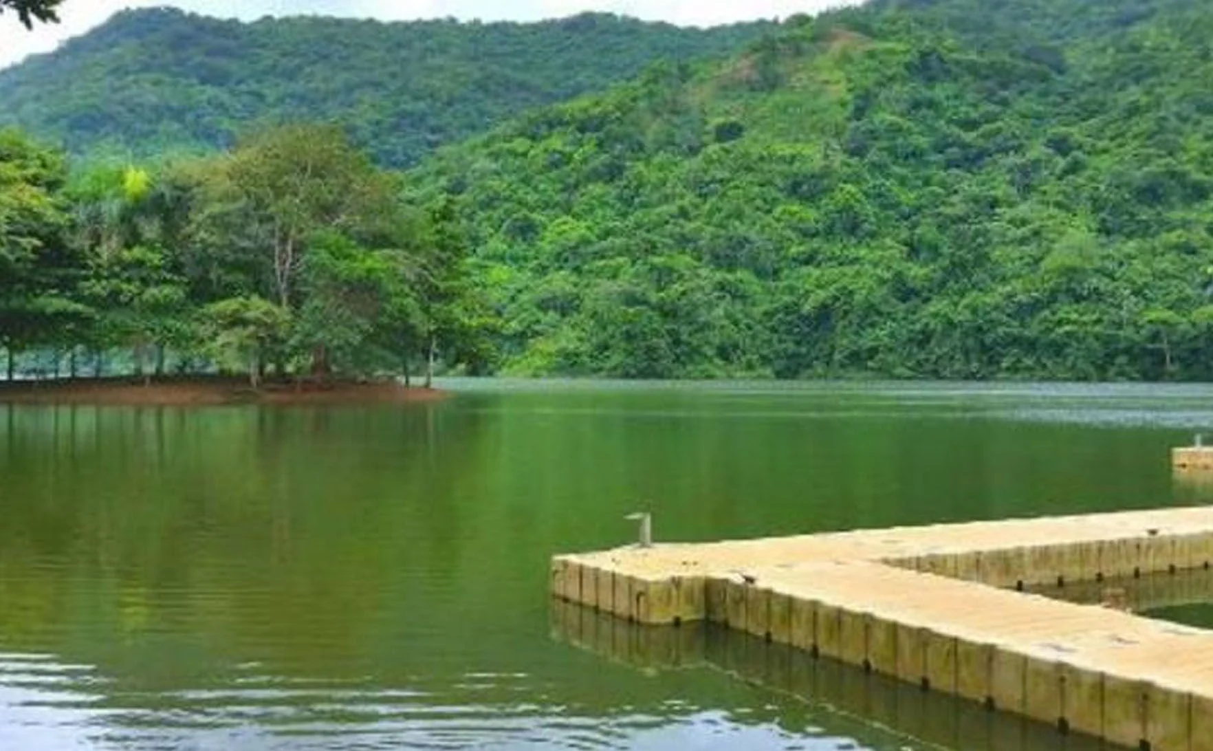 Vida_Silvestre_Del_Embalse_Lucchetti_79397c5c9b.jpg