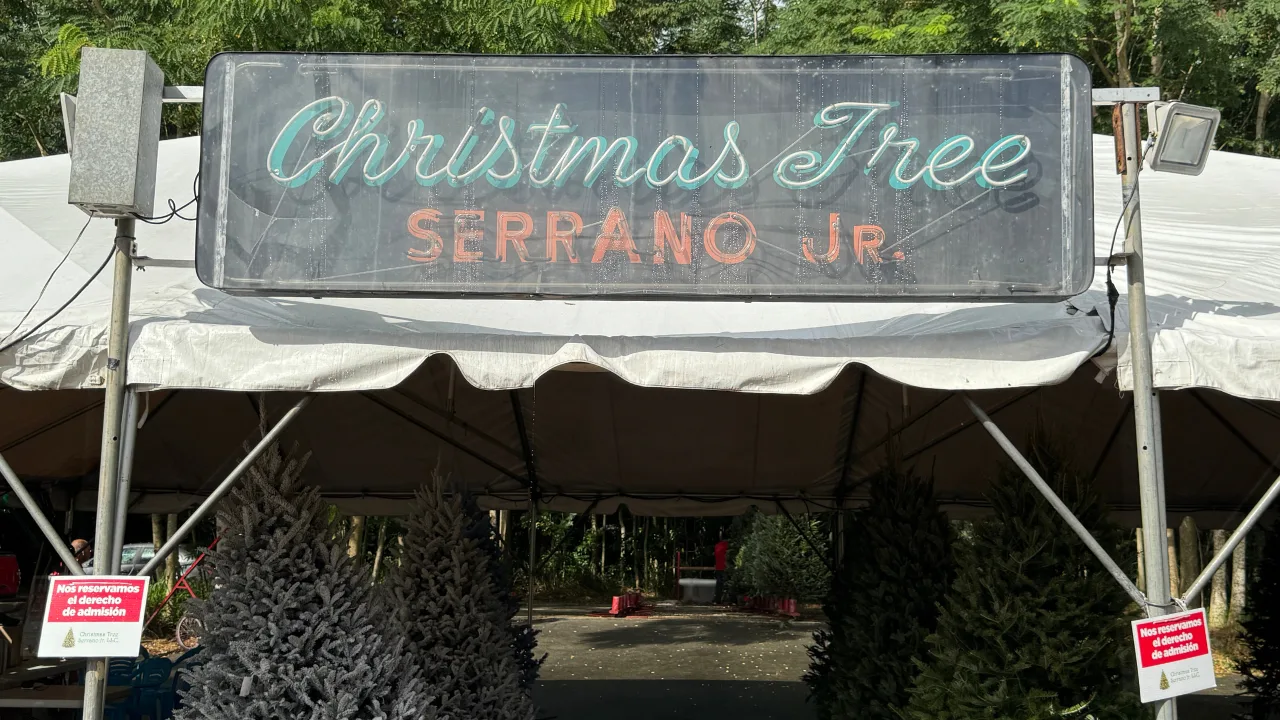 Arboles-de-Navidad-Serrano-JR.png