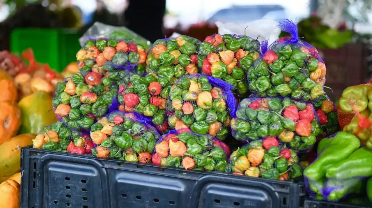 mercado-familiar-puerto-rico
