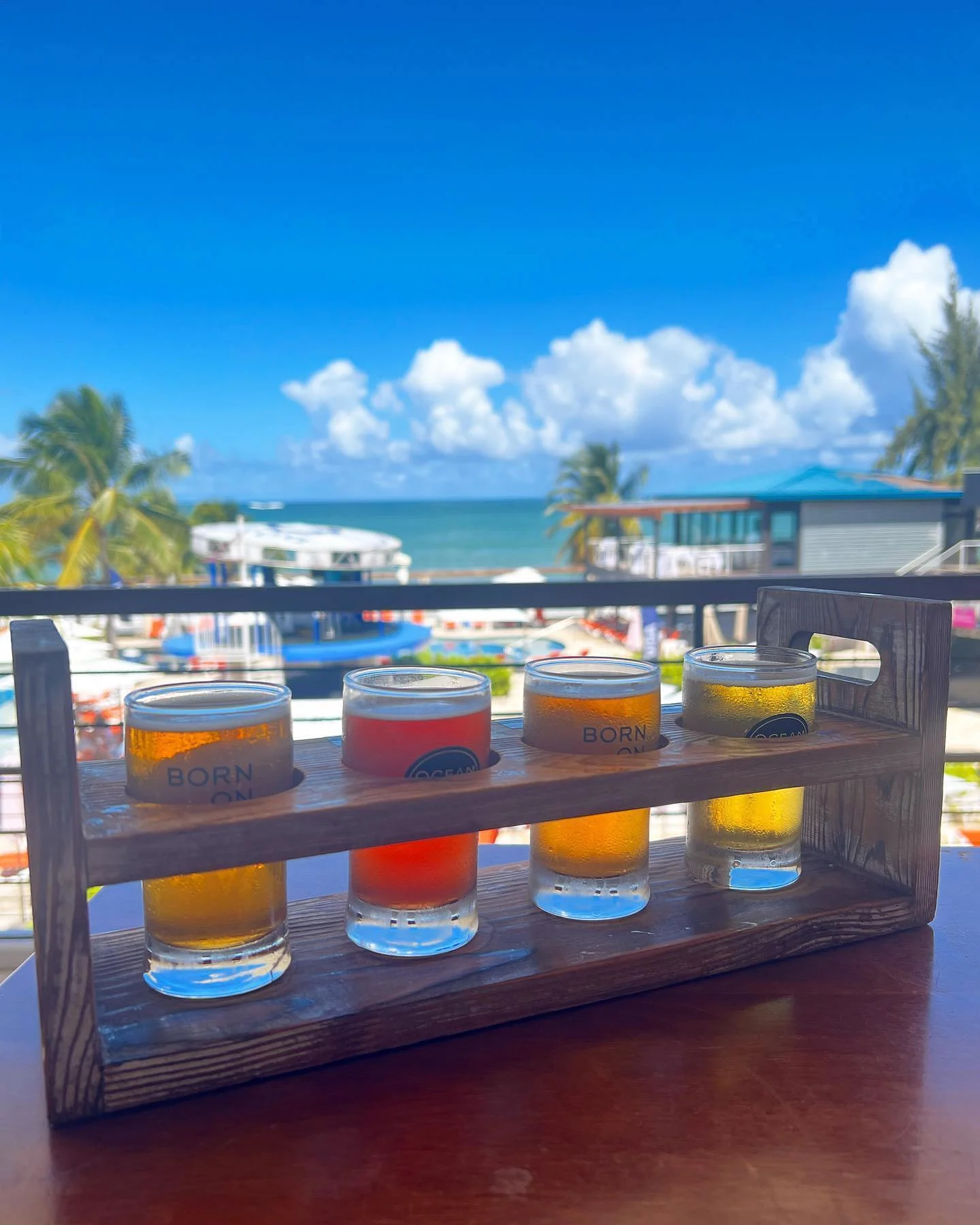 Ocean Lab en Isla Verde