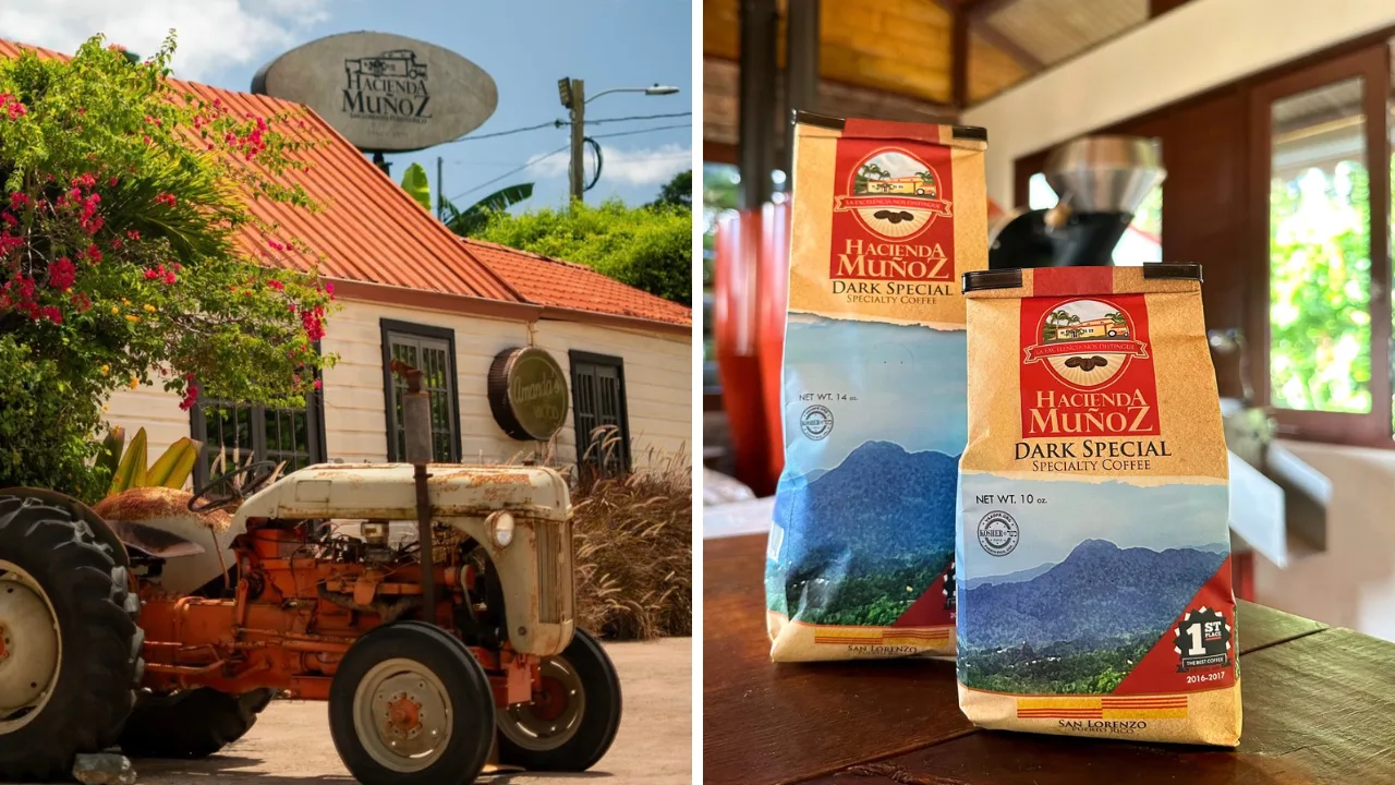 Hacienda Muñoz: experiencia cafetalera en San Lorenzo