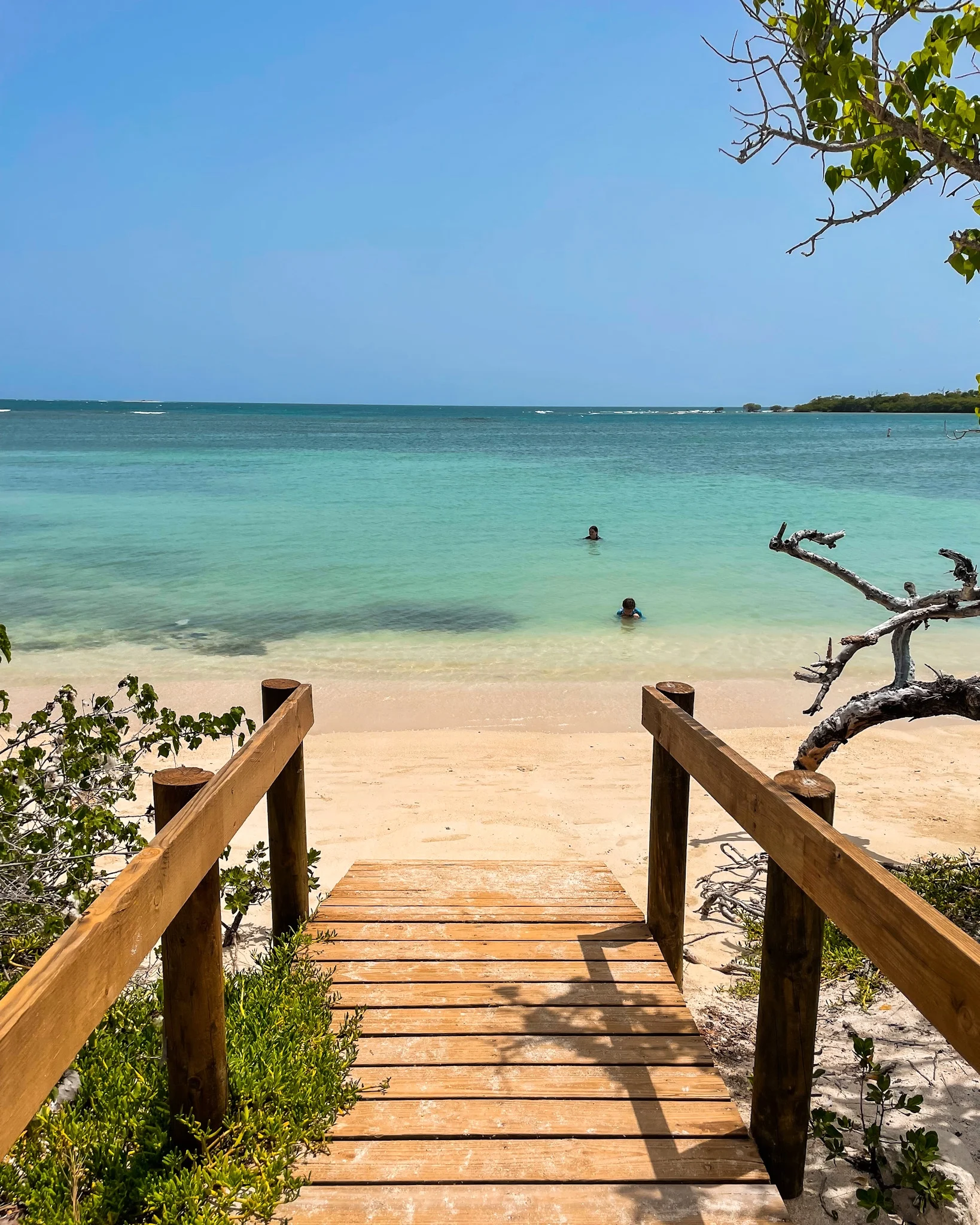 Playa La Jungla