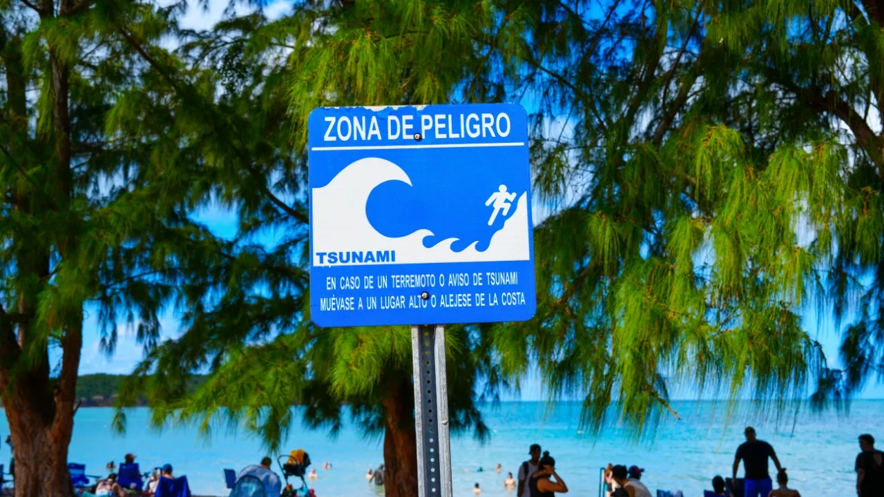 tsunami-guia-reacciones