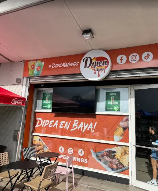Dipea Wings