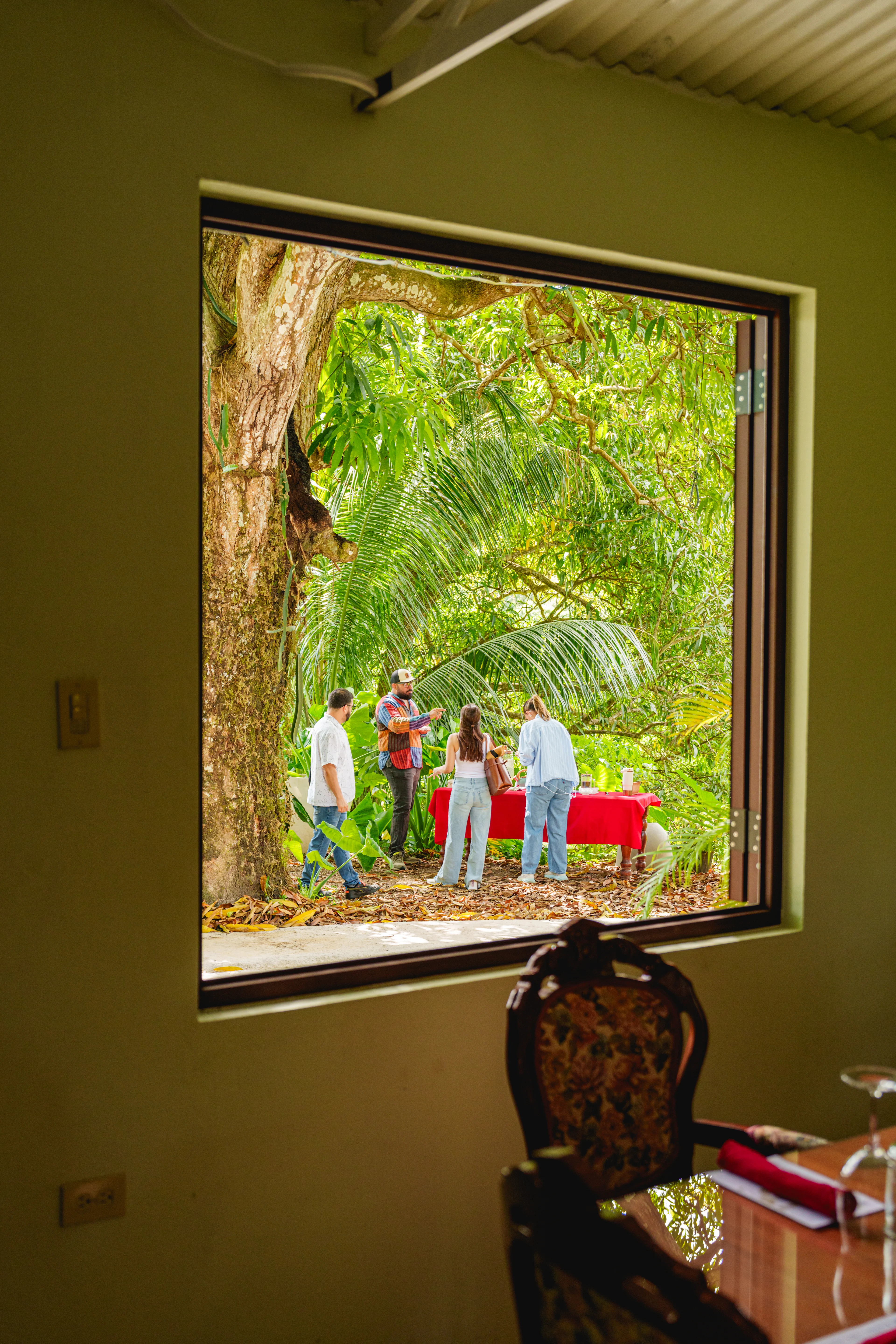 Vista desde una ventana hacia un grupo de personas alrededor de una mesa con mantel rojo en un jardín tropical