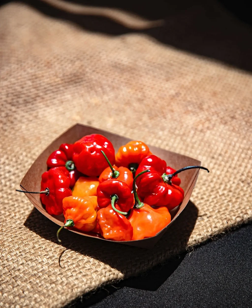 Experiencia culinaria Somos Ají Dulce en Monte Sagrado Reserve, Utuado