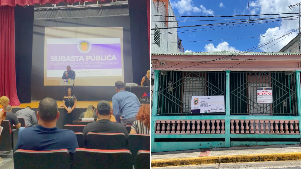 segunda-subasta-estorbos-publicos-san-lorenzo-licitadores