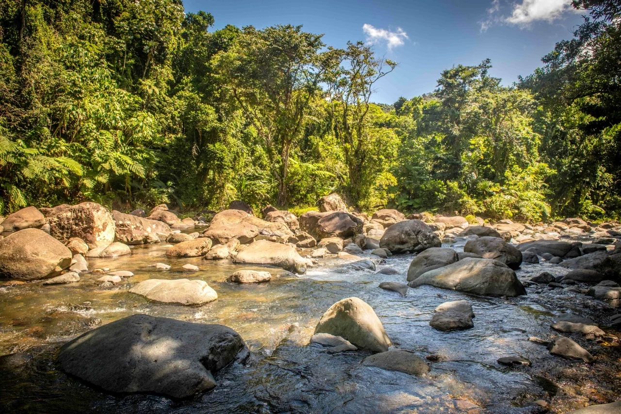 Rio-en-PR-2-Large.jpeg
