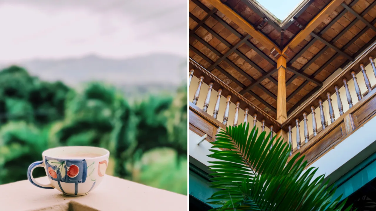 tours-cafe-centro-de-la-isla