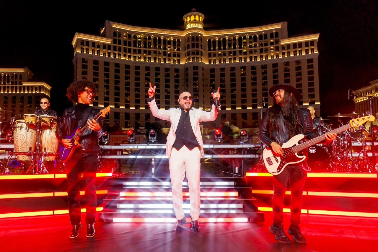 Pitbull-Large-1.jpeg