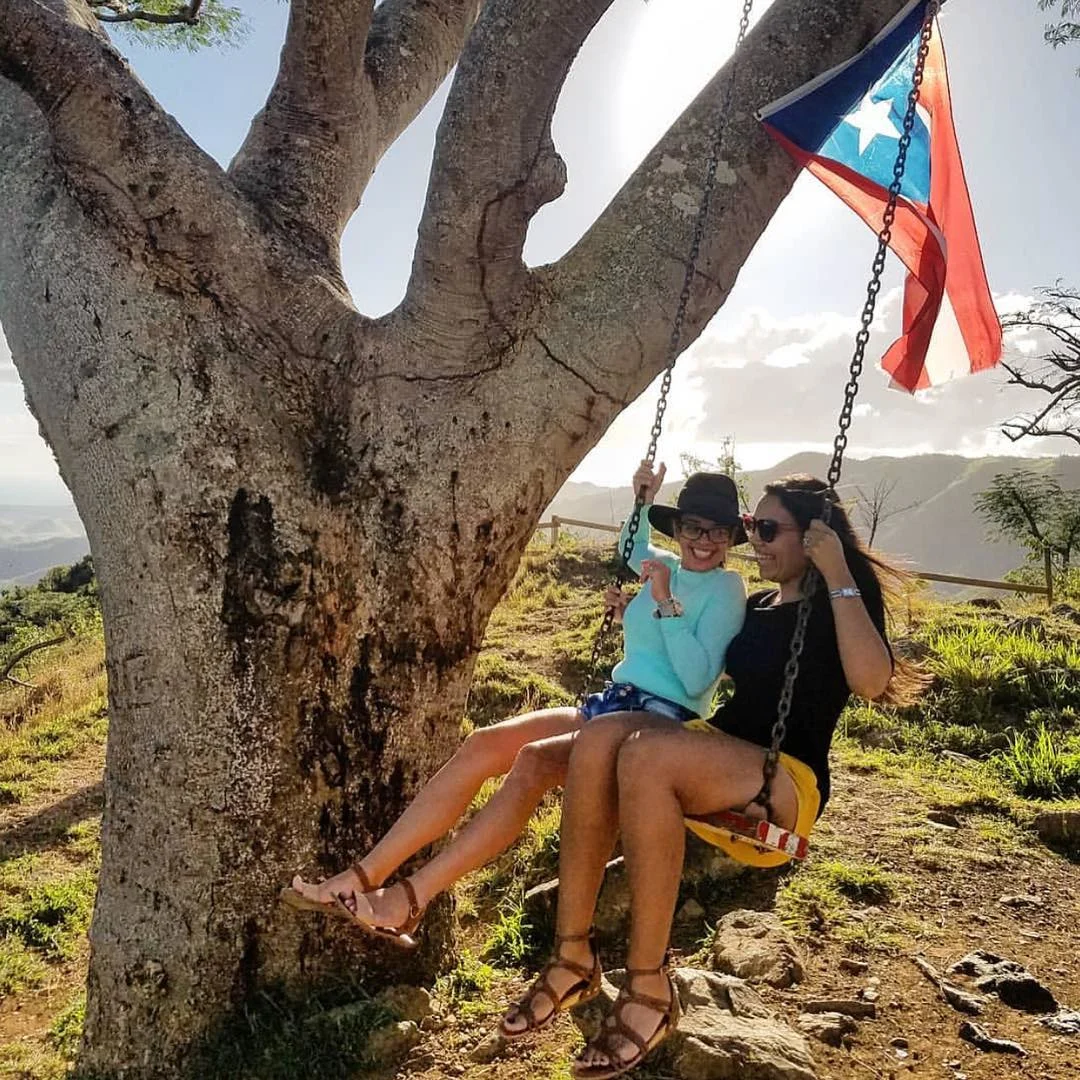 La Curva del Árbol Renace