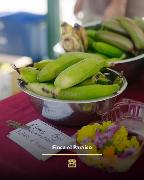 Farmers-market-02-2.png