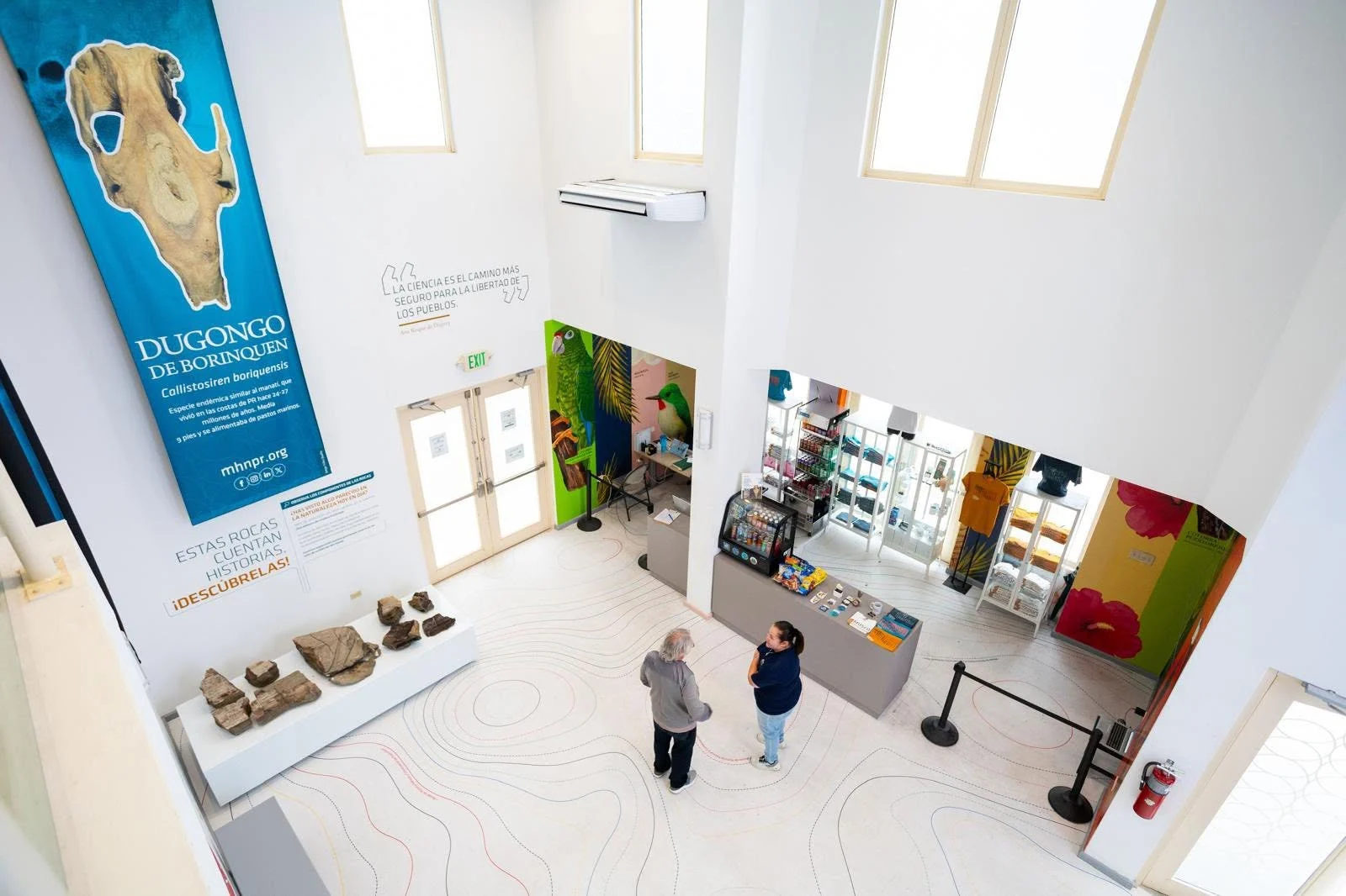 Vista aérea del interior del Museo de Historia Natural de Borinquen con visitantes, exhibiciones y tienda de regalos.
Foto vía Facebook: Museo de Historia Natural de Puerto Rico