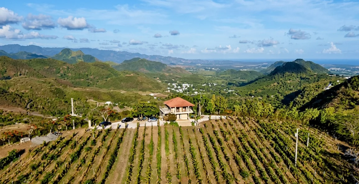 Hacienda San Jerónimo: finca con viñedo en venta en Santa Isabel
