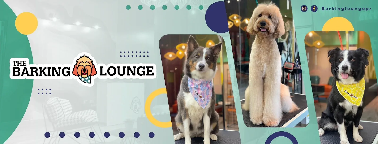 Google owner photo. Attribution: The Barking Lounge (https://maps.google.com/maps/contrib/105114048786875820450)
