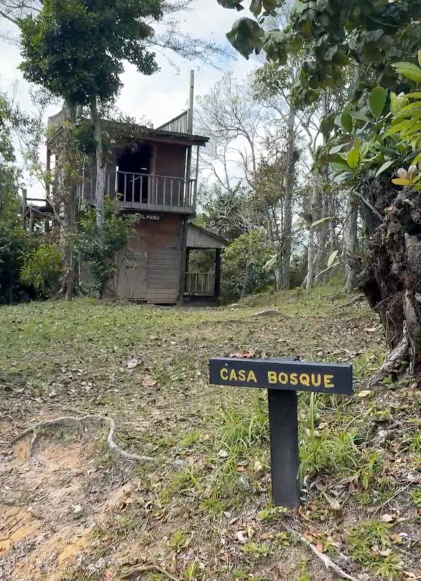 bosque del pueblo adjuntas