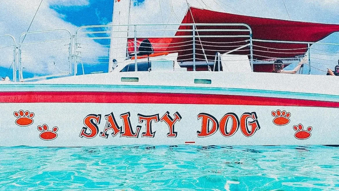 Google owner photo. Attribution: Salty Dog Catamaran (https://maps.google.com/maps/contrib/117684578956595076494)