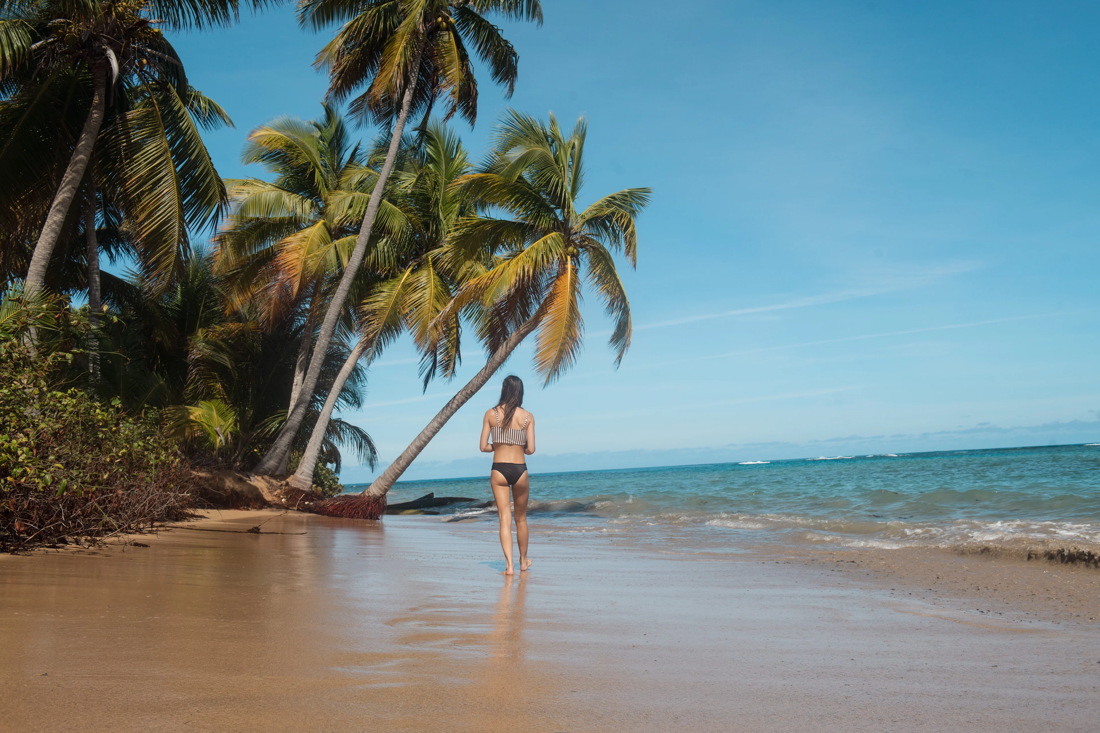 road-trip-por-luquillo-los-mejores-lugares-para-visitar-segun-un-local