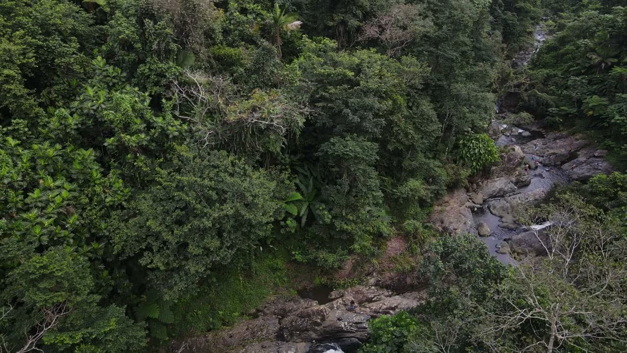 Vista aérea del río La Mina abriéndose paso entre el bosque.