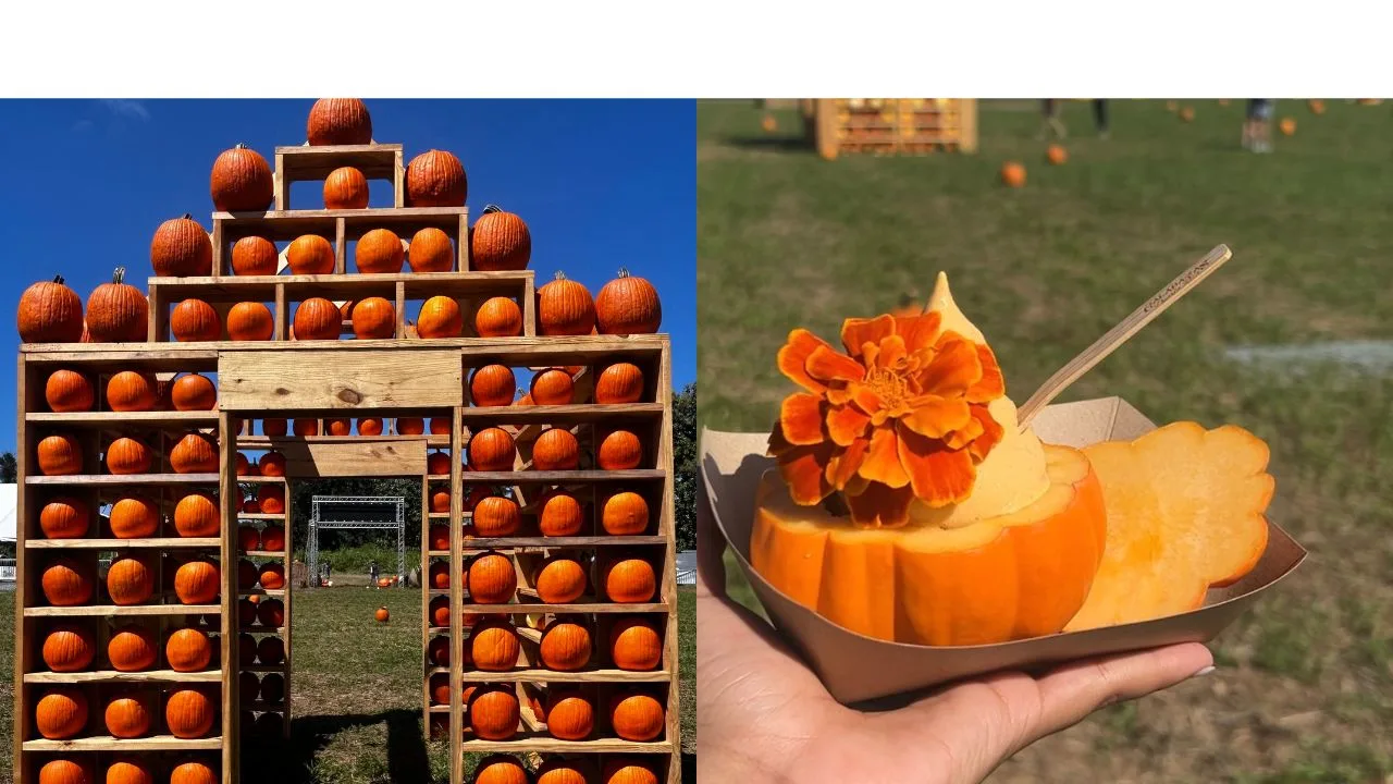 el-calabazas-fest-regresa-a-dorado-con-mas-experiencias-otonales