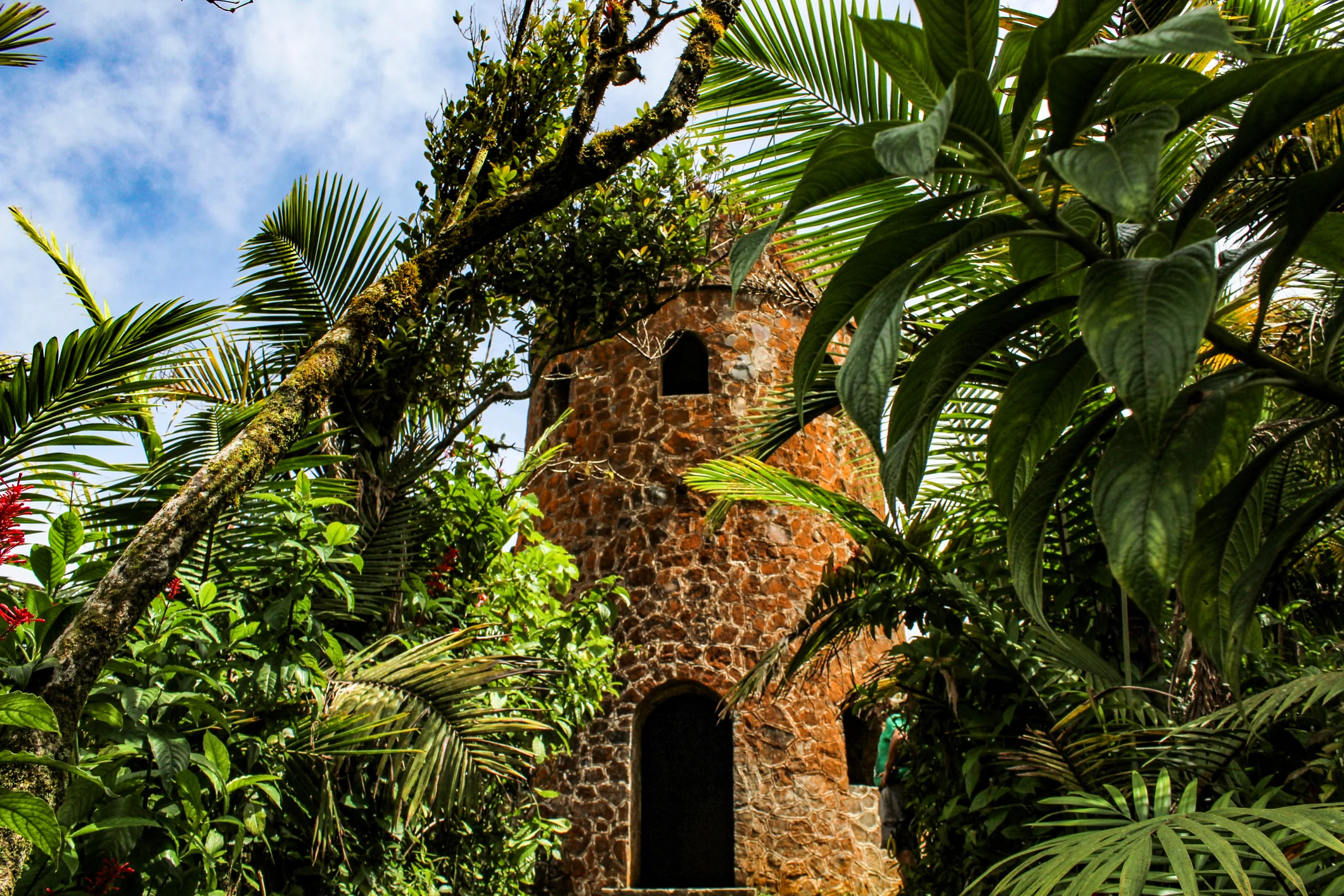 tu-guia-para-visitar-el-yunque