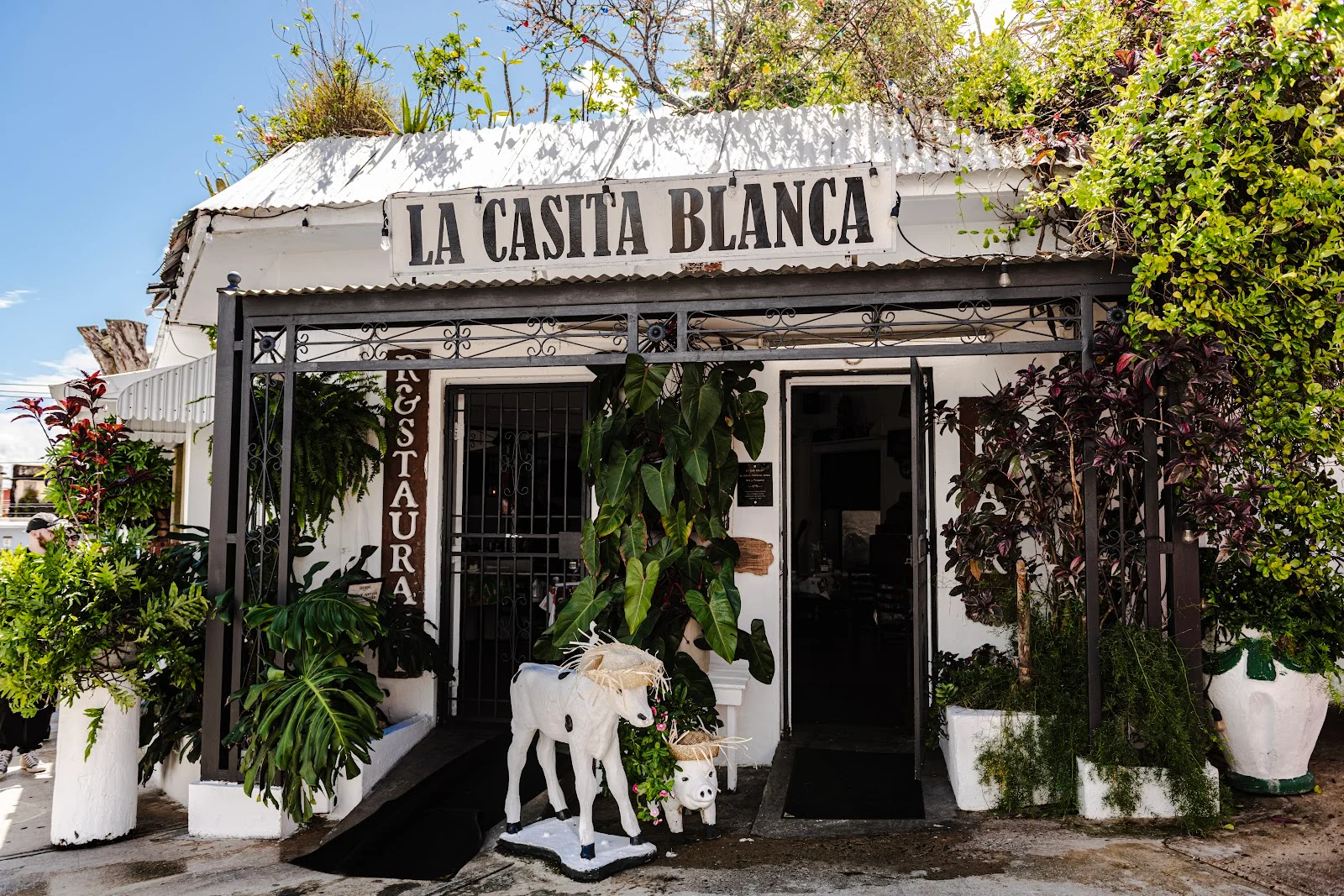 Google owner photo. Attribution: La Casita Blanca (https://maps.google.com/maps/contrib/110170899992660953489)