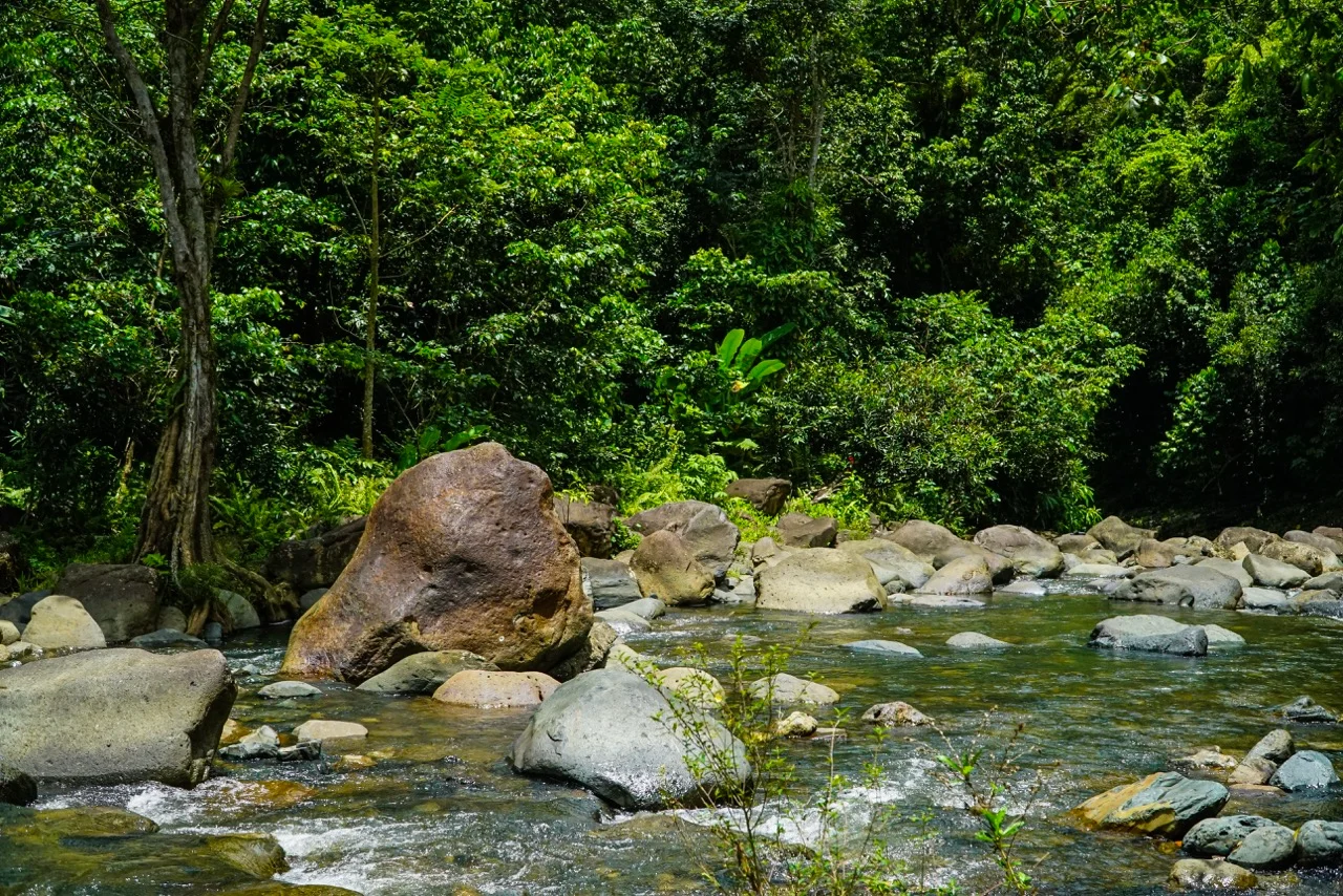 Rio-en-Puerto-Rico-Large.jpeg