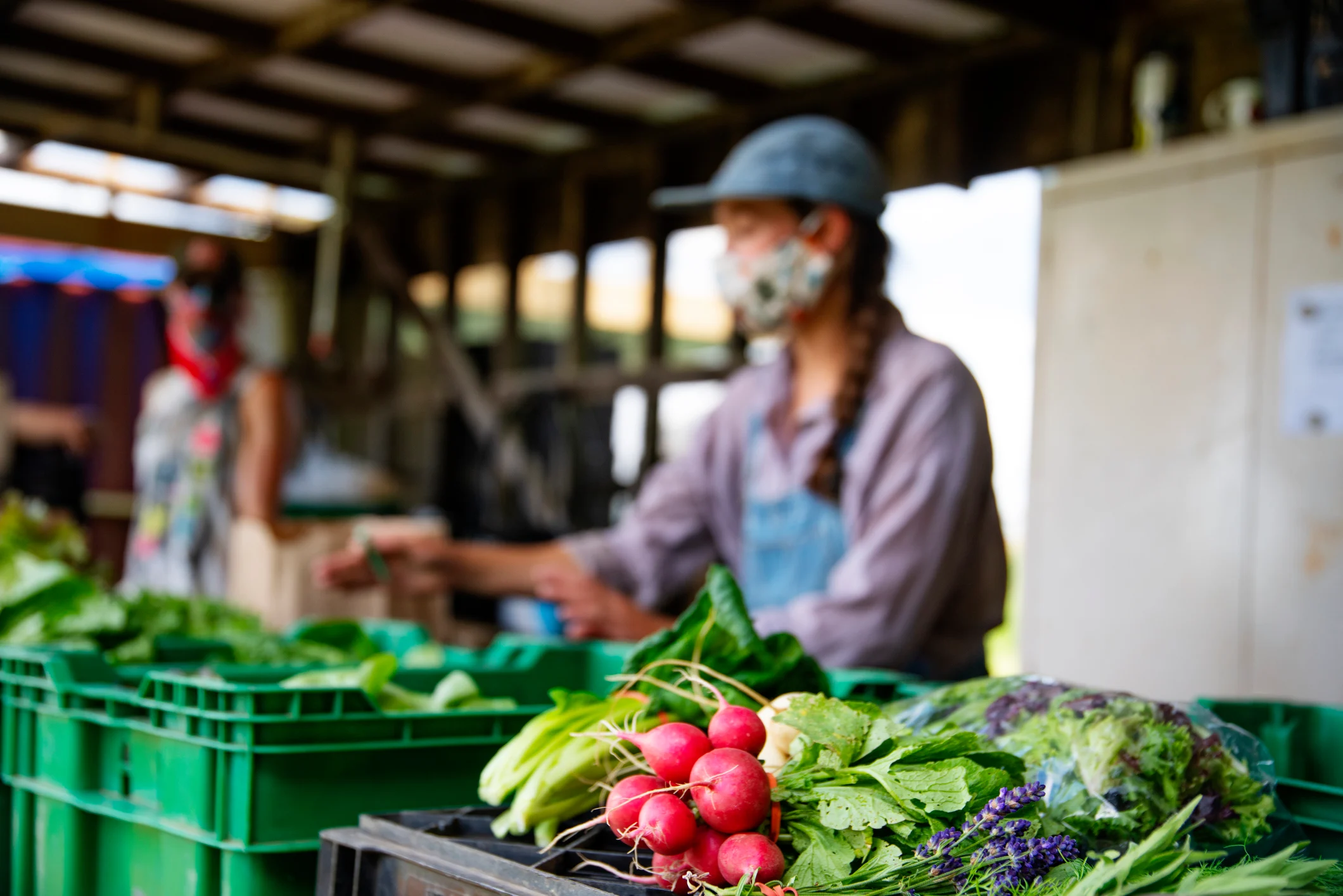spotlight-mercado-agricola-natural