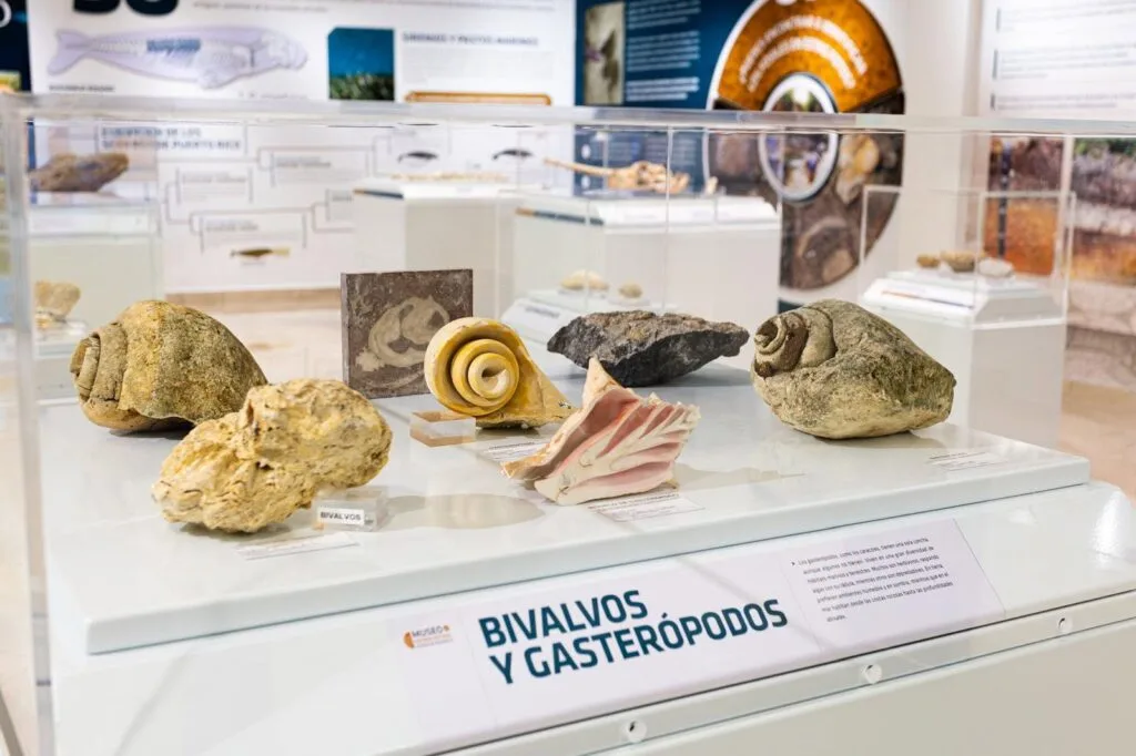 7 espacios y museos en Puerto Rico para aprender de ciencia, tecnología y naturaleza