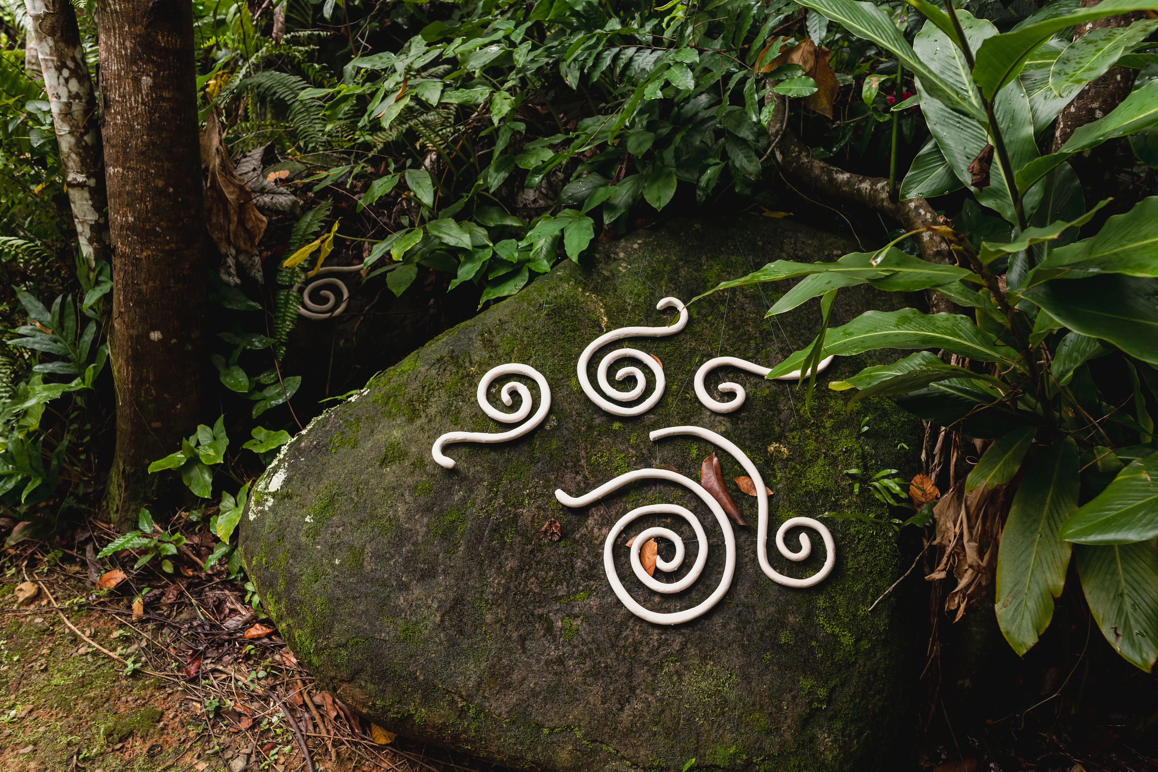 Jaime-Suarez-Toro-Barroglifos-de-El-Yunque-Barroglifos-of-El-Yunque-3-1.jpg