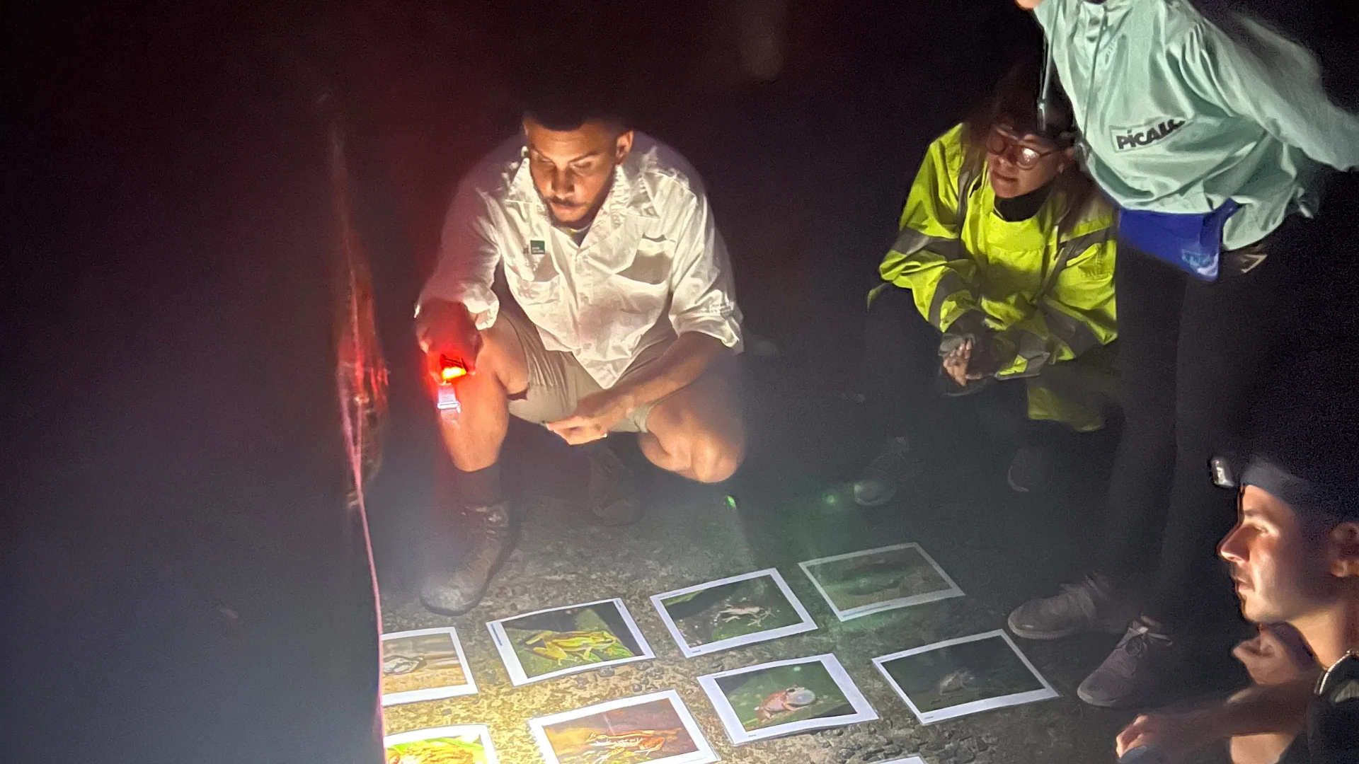 tours-nocturnos-en-puerto-rico