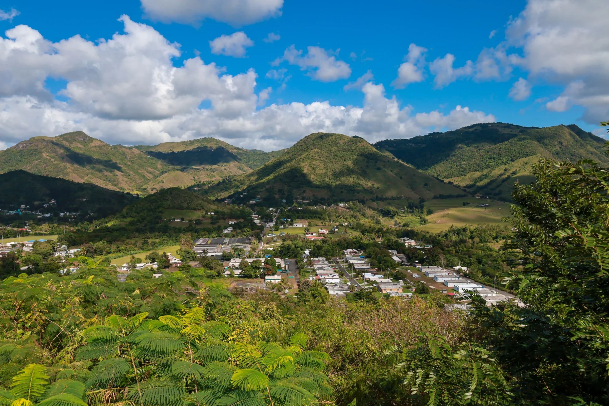 Road trip por Aibonito: dos locales nos dicen dónde comer y qué hacer en la Ciudad de las Flores