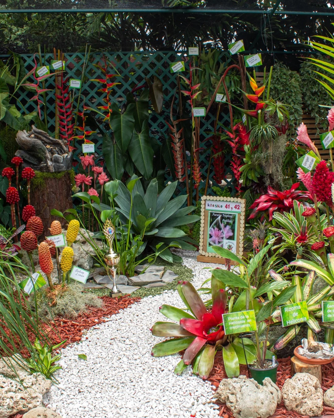 Festival-de-las-Flores-1.png