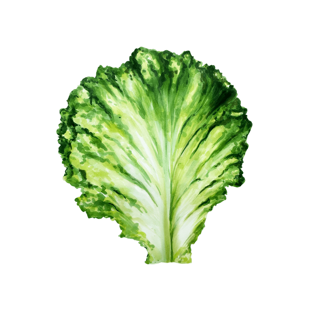 Vegetales
