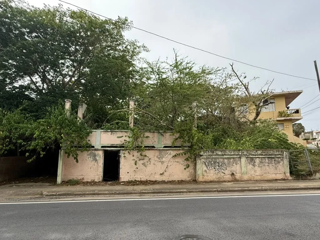 Esto planean hacer los compradores de estorbos en la primera subasta pública de Isabela