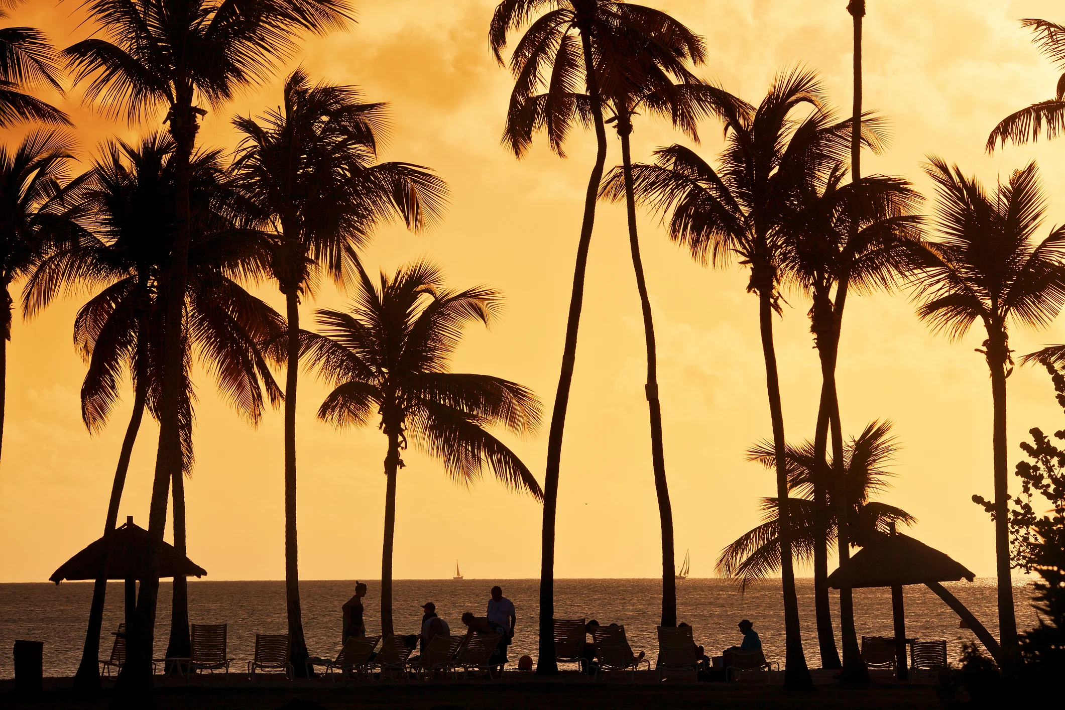 eventos-para-celebrar-la-noche-de-san-juan